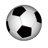 Sports Goods
